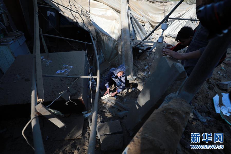 再見小楓林by77888小說講了什么內(nèi)容