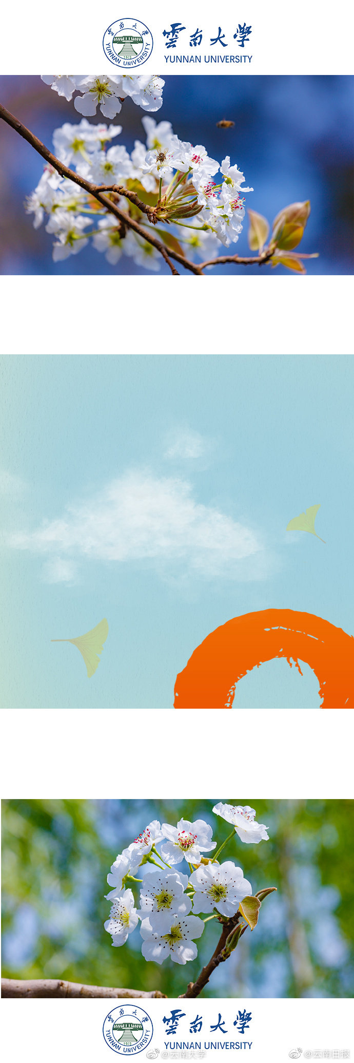 倉庫里的秘密墨雨煙夜小說txt