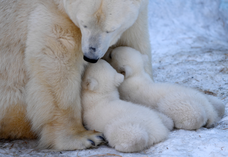 《躲匿》by梨圓免費閱讀