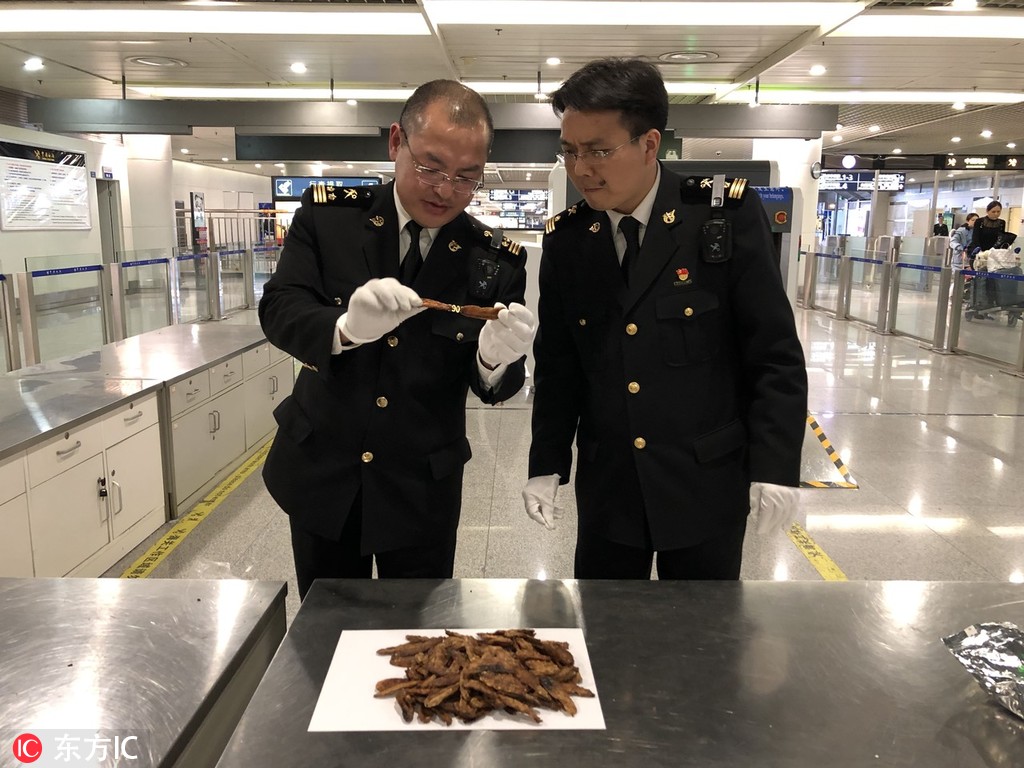 一行白鷺by清明谷雨txt好看嗎