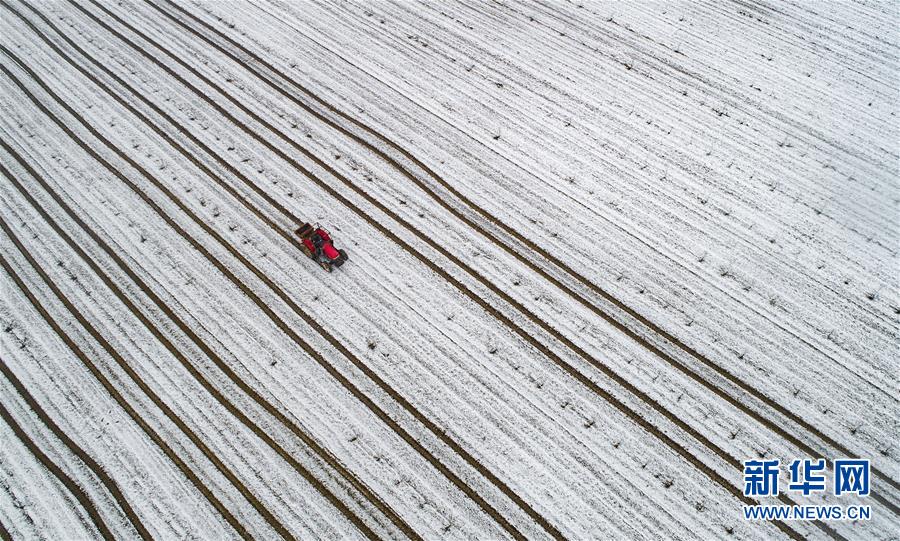 1女vn男的現言小說