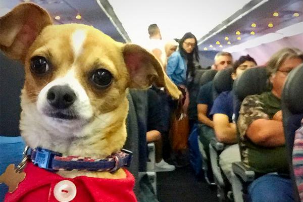 大相師筆趣閣在線閱讀