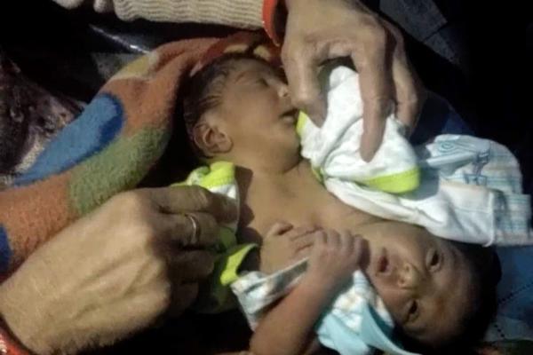 《狼群》TXT下載