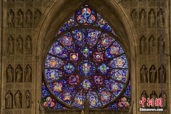 作踐by小秦子全文閱讀