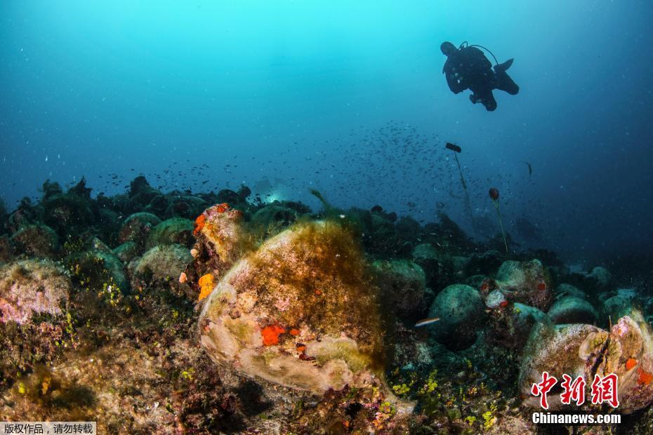 最強棄少txt全本