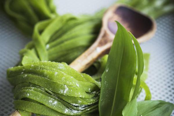 春光乍泄精校txt