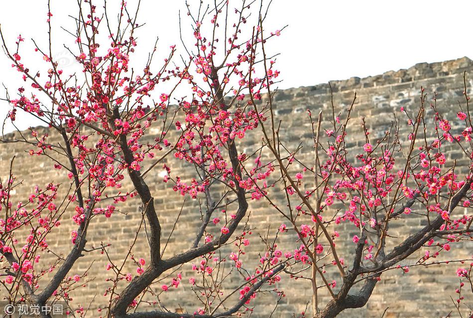 沉秋by心字如灰百度網盤