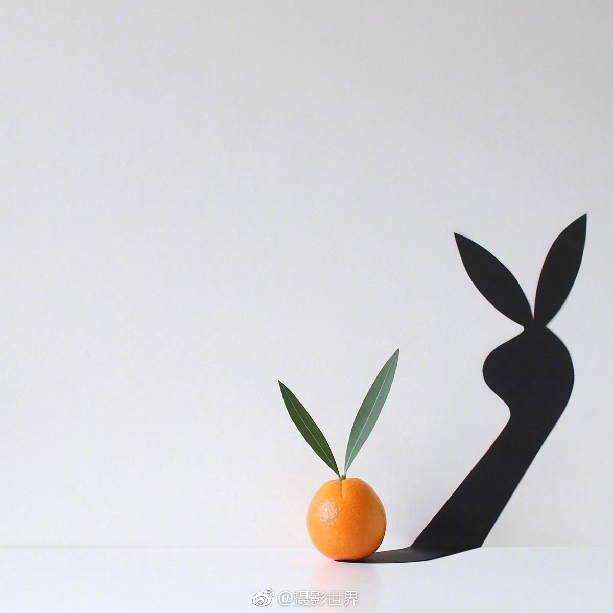 肥警神醫txt筆趣閣