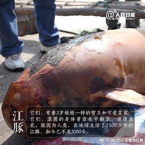 東方娃娃蜜丸筆趣閣