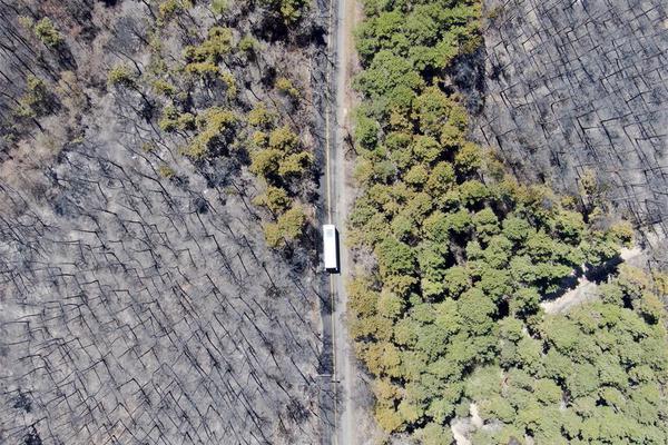 《岌岌可危》by 夏小正免費閱讀