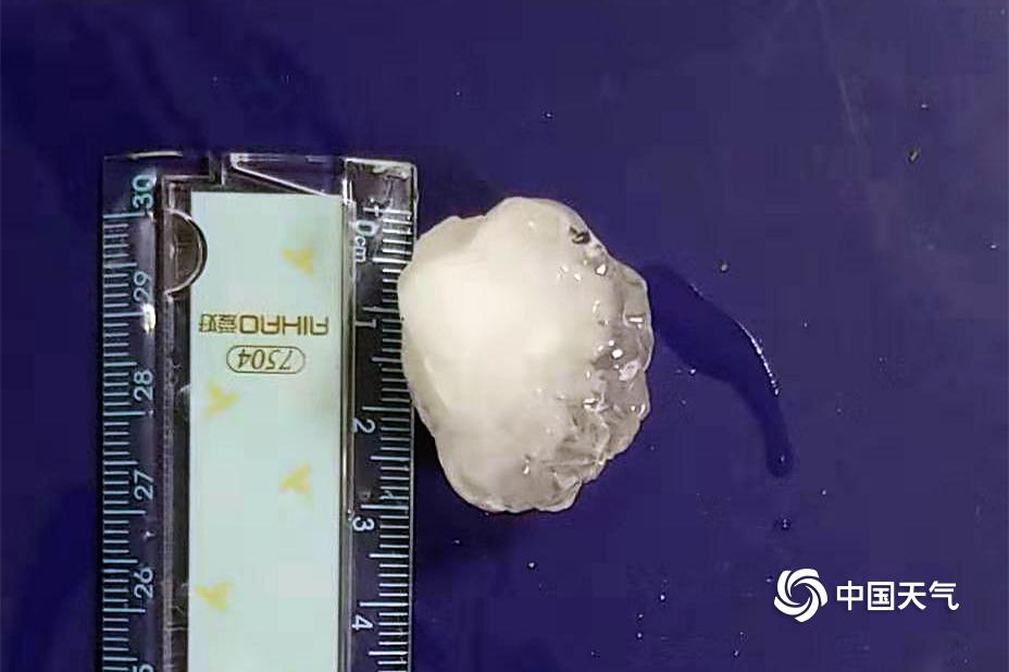 大霧by顏涼雨介紹