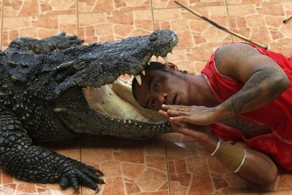 帳中香by長生君txt百度云