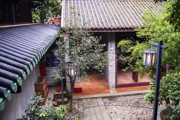 重生之溫婉txt下載