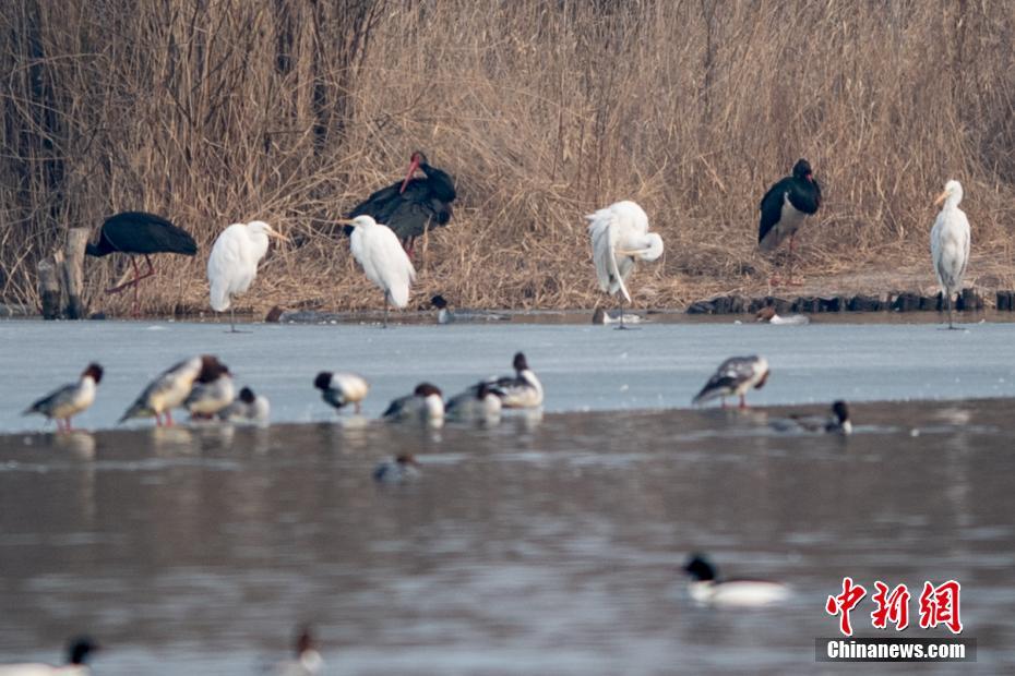 奪朱by回南雀講的什么