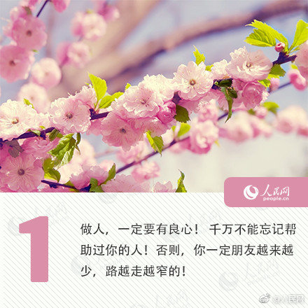 《清歡》by九鈴完整在線閱讀免費