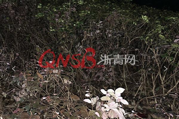 《醉煙》作者:herd