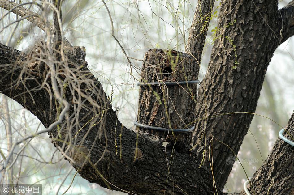 預(yù)謀(1v1)白恒