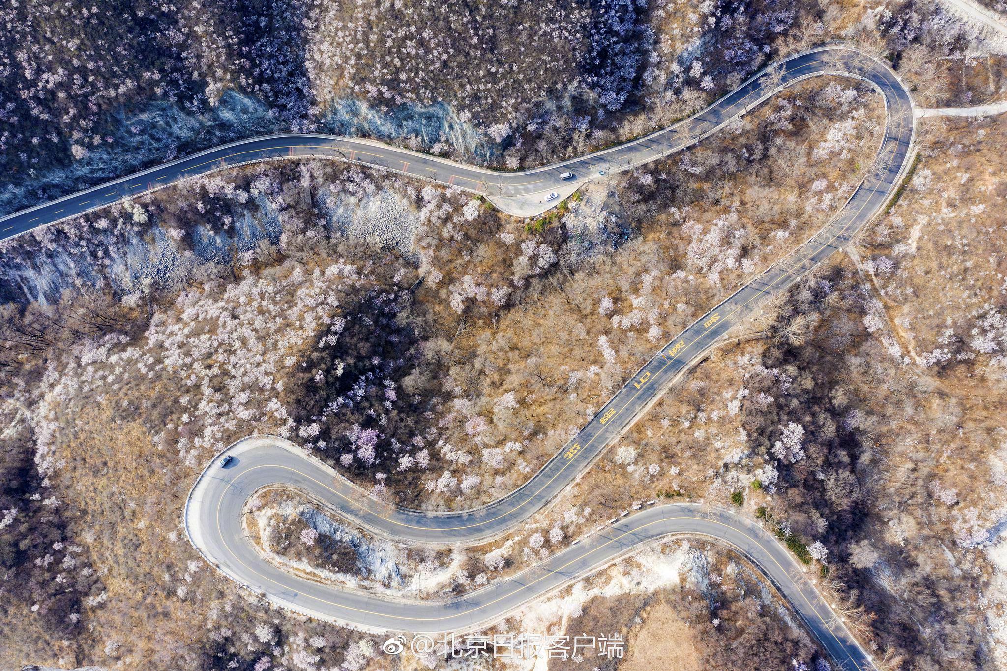 《既往深咎》by糠木