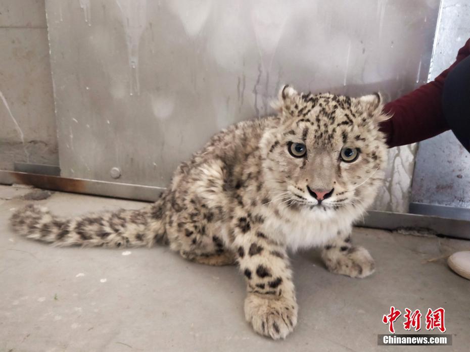 一朝破戒筆趣閣最新章節(jié)更新