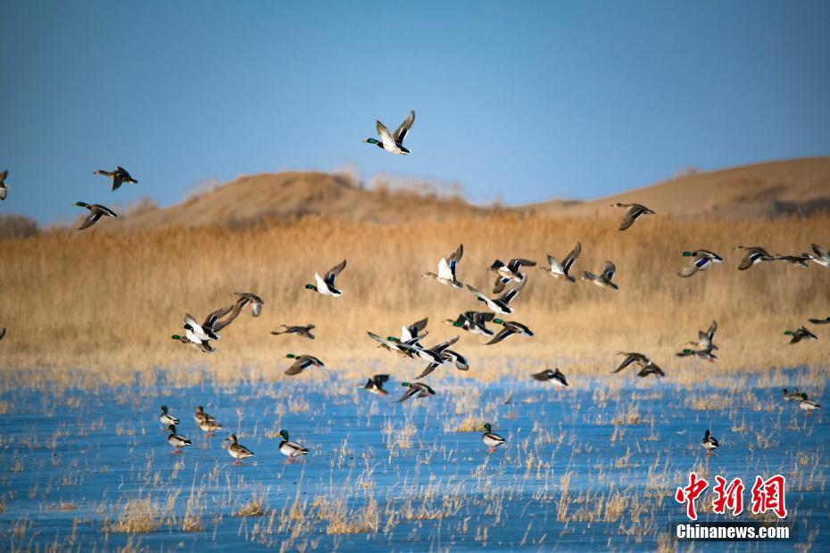 藝術(shù)生和身邊的體育生by筆趣閣