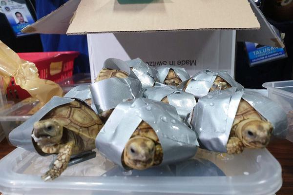 公司要求真空上班全文免費閱讀