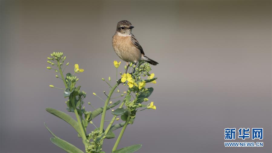 重生了誰(shuí)談戀愛(ài)啊 筆趣閣小說(shuō)