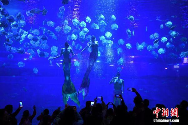 不乖的美人by骨色彎刀里有車么