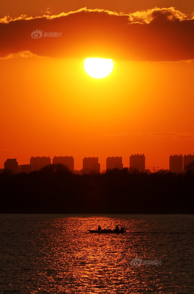 【主攻/末世】開局一條狗半盞