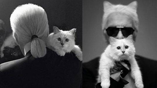 國家給我養(yǎng)老送終(快穿)小說