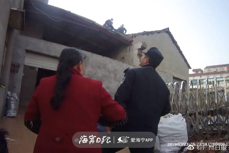 純凈版筆趣閣app下載