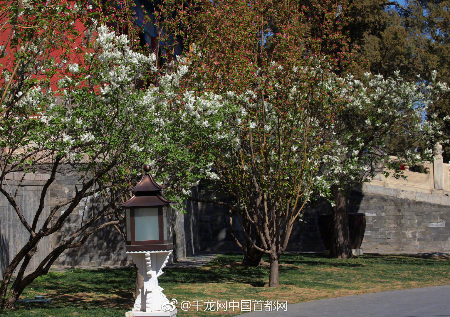 大器征服美女官場(chǎng)的小說(shuō)結(jié)局是什么