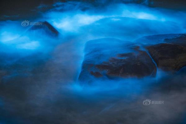 彪悍夫郎太寵我by紅薯粉條