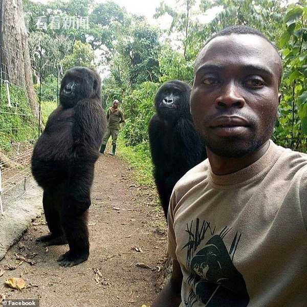 戰胤海彤剛剛更新章節免費閱讀