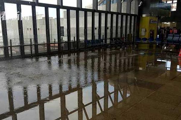 《折紙玫瑰》by李書錦講什么