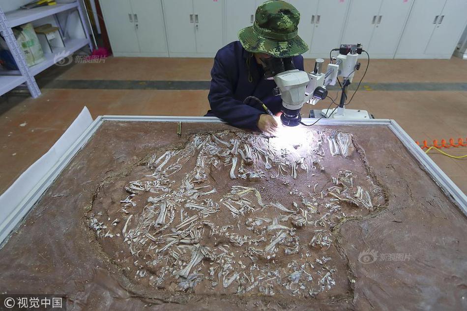 筆趣閣純凈版無廣告網頁