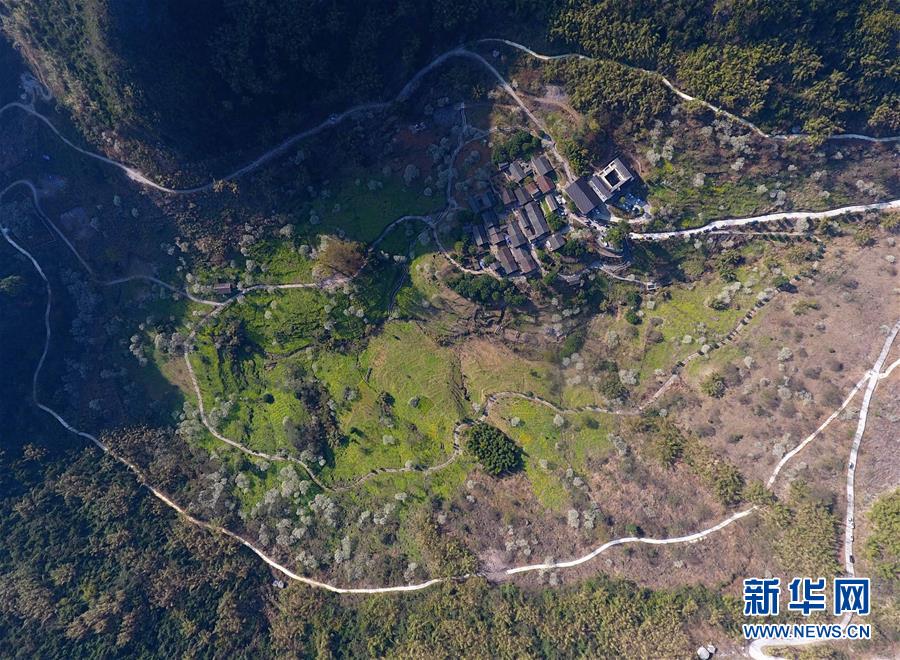 《芙蓉帳暖》by李寂v5