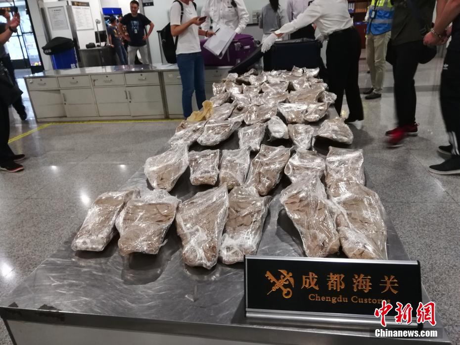 夏蕓(父女)by夏多布簡介