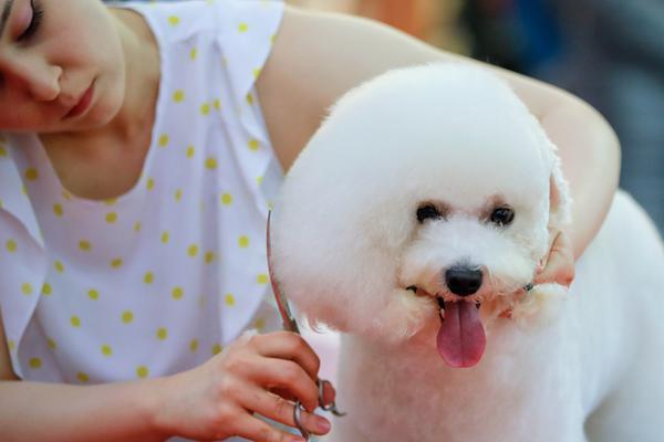 此間的少年小說 txt