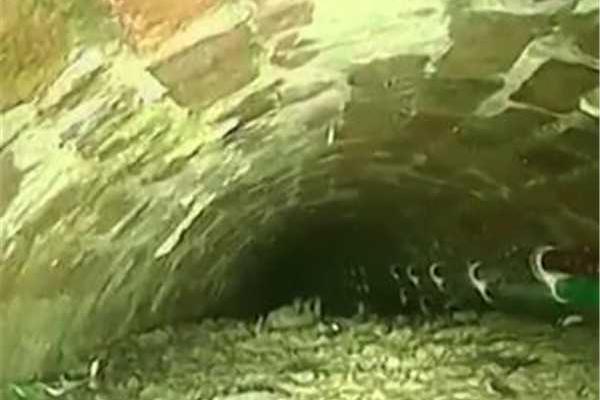 《快穿反派總貪戀我的美貌》