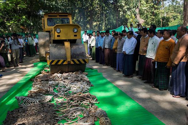 拯救被凌虐的直男軍官筆趣閣小說免費閱讀