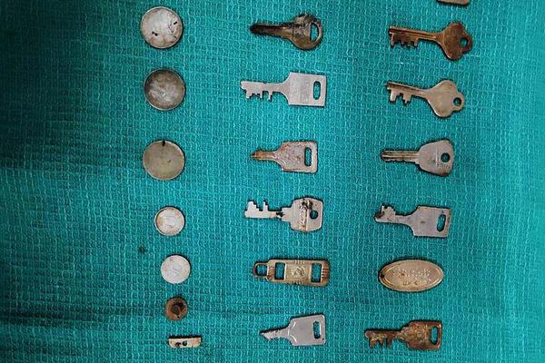 掌中雀by失眠的孤獨患者閱讀