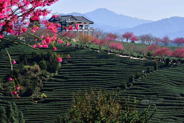 張總讓我掛空擋上班小說全文