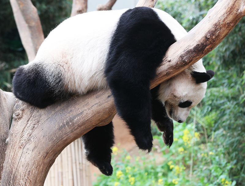 藏地密碼3txt下載