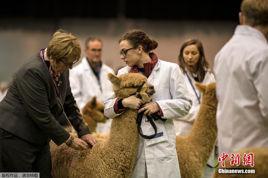 1—50全集免費青盲