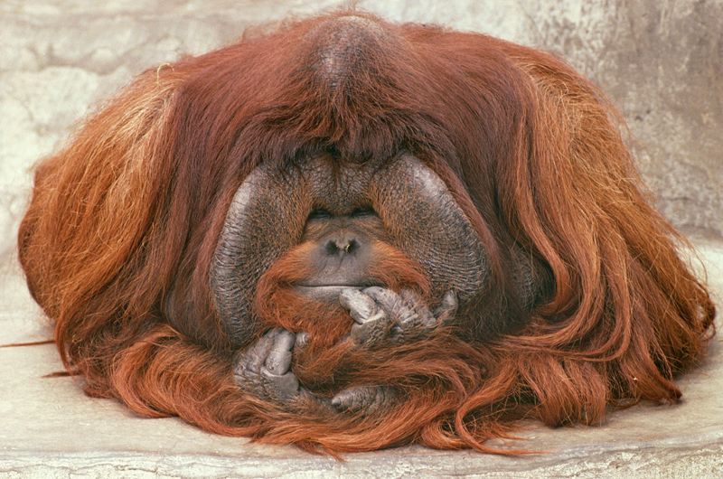 娛樂圈小助理(NP)筆趣閣云慕慕