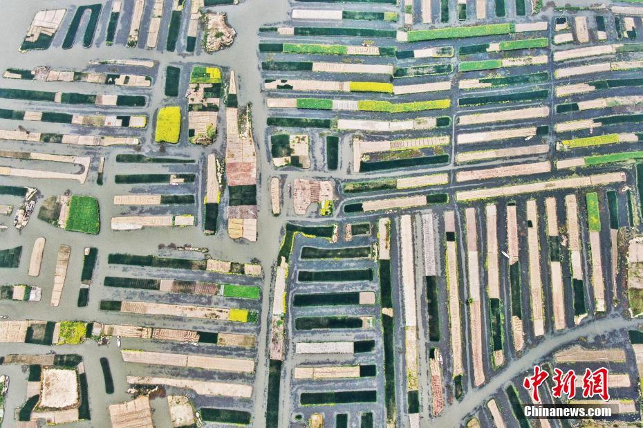 最強兵王蘇銳最新章節筆趣閣