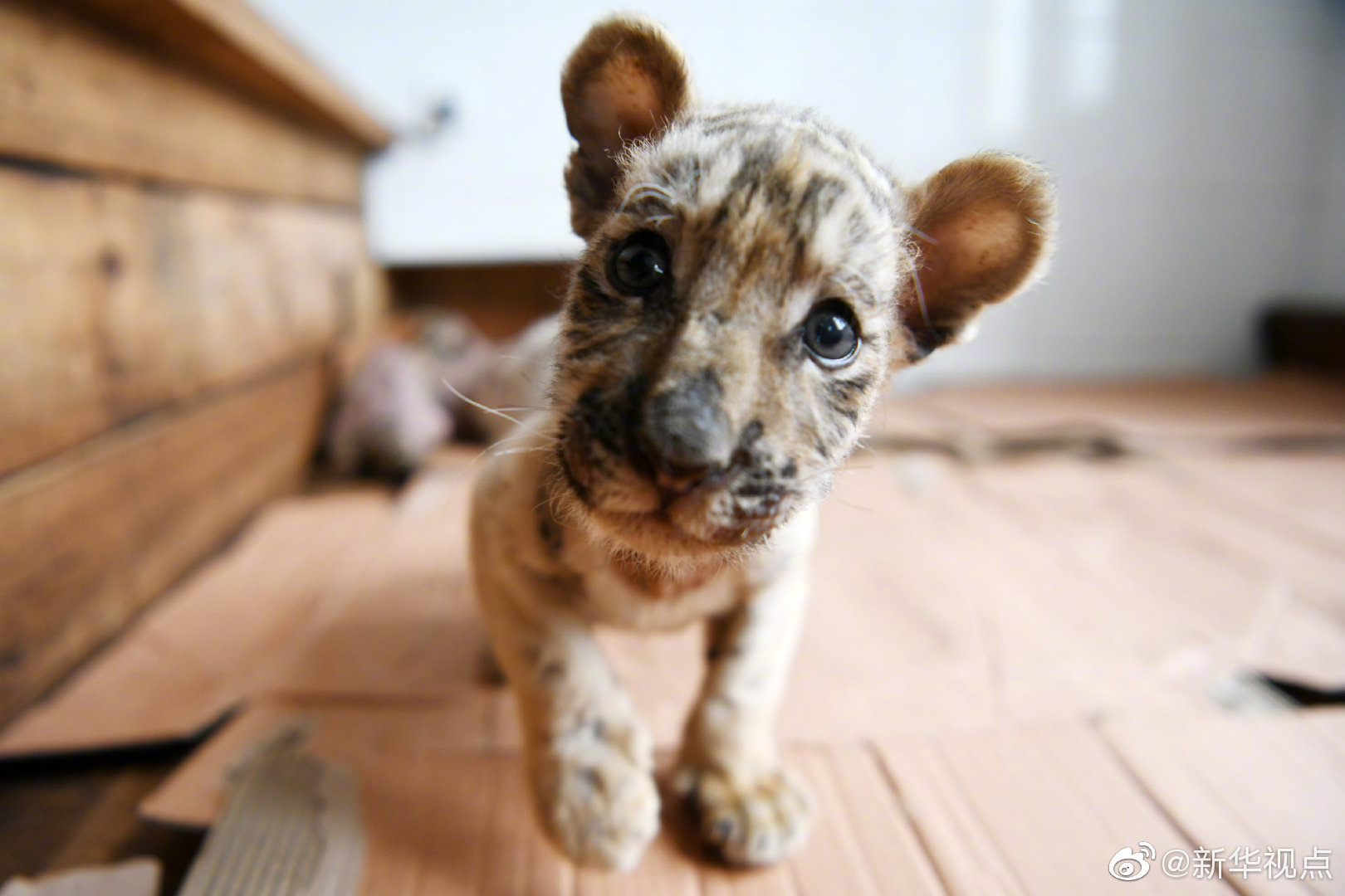 不循(重生)by一寸方舟百度網盤