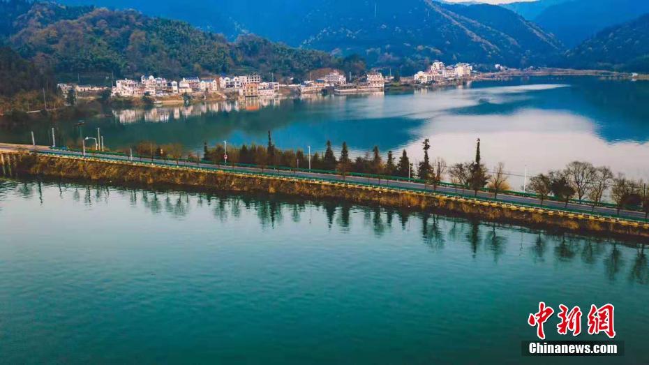 惰性法則小說TXT百度云