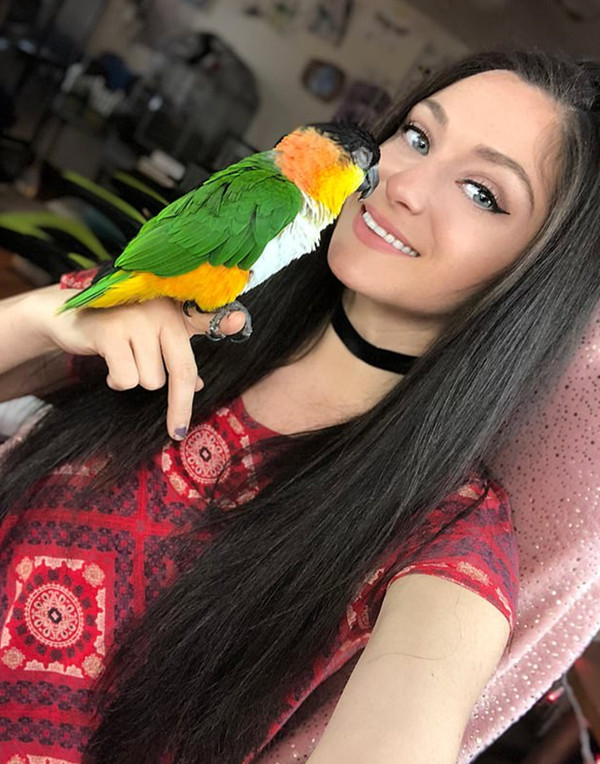 臟糖by燃桃txt簡介