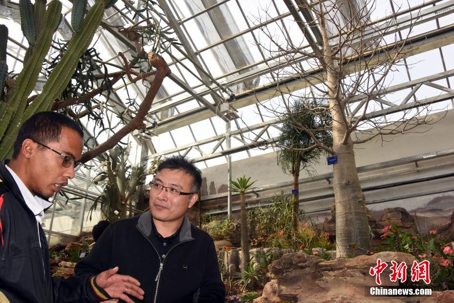 魚目珠子txt百度云網盤